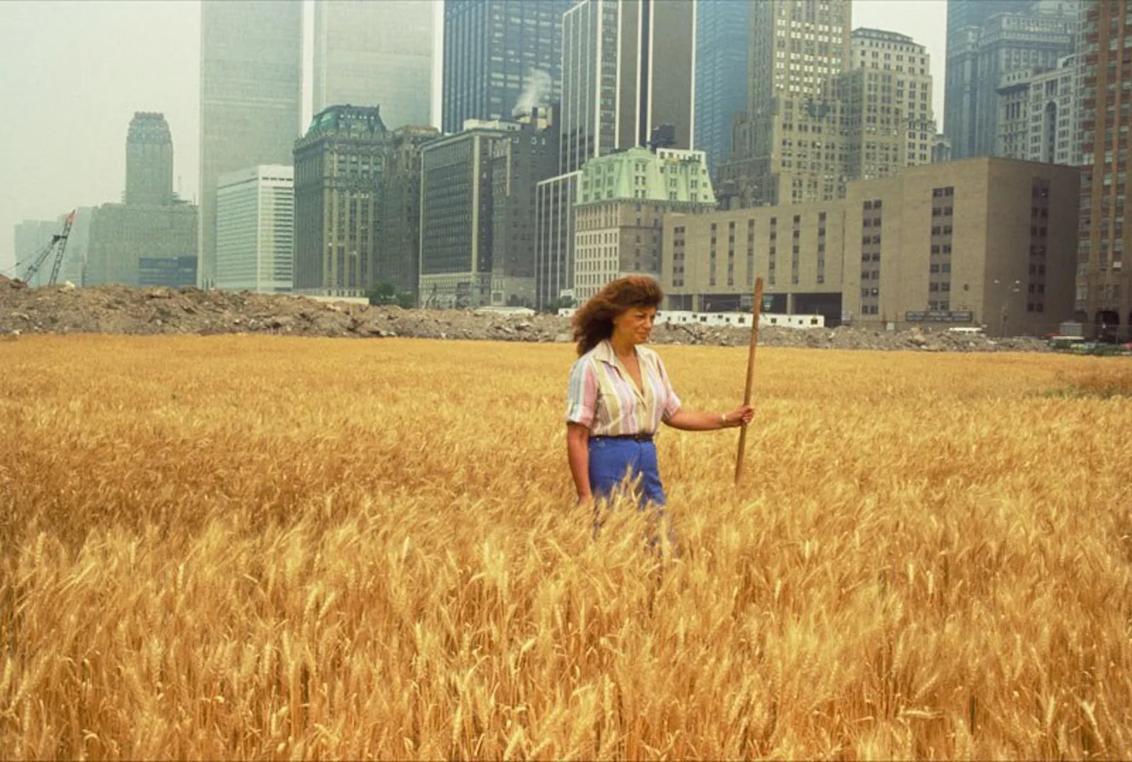 A woman stands holding a long stick in a field of ripe wheat, with the skyscrapers of lower Manhattan in the haze behind her.