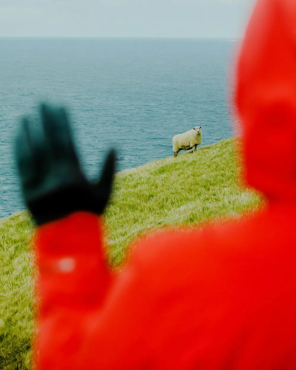 No. 029, photo: quiet, bold, playful